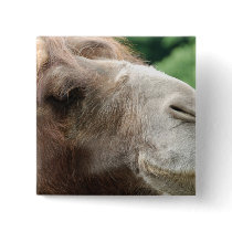 Arabian Camel Button