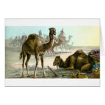 Arabian Camel Greeting Cards
