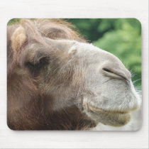 Arabian Camel Mouse Pad