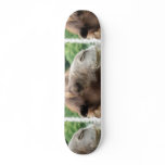Arabian Camel Skateboard