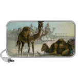 Arabian Camel Travel Speaker