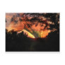Arabian Horse against sky Post Cards