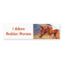 Arabian Horse Bumper Sticker