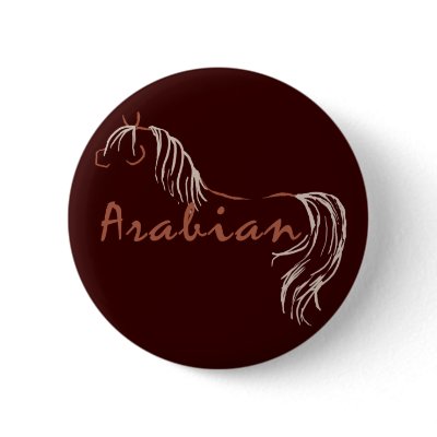 Arabian Horse Pinback Button by PaintingPony