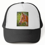 Arabian Horse Trucker Hat