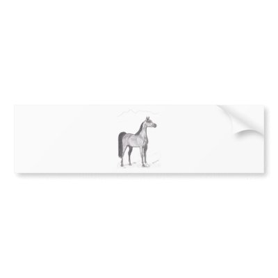 Arabian Horse in Pencil Bumper Sticker by ForeverMorgans