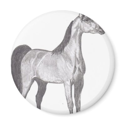 Arabian Horse in Pencil Fridge Magnet by ForeverMorgans