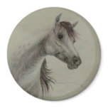 Arabian Horse Magnet