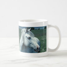 Arabian Horse Mug