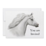 Arabian Horse Party Invitation