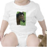 Arabian Horse Pictures Baby T-shirt