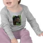 Arabian Horse Pictures Infant T-Shirt
