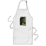 Arabian Horse Pictures Long Apron