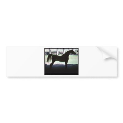 Arabian Horse Silhouette Bumper Stickers by StrikingPhotography