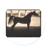 Arabian Horse Silhouette  Sepia stickers