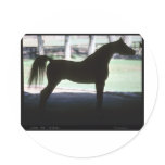 Arabian Horse Silhouette Round Sticker