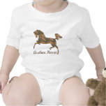 Arabian Horses