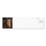 Arabian Horses Bumper Sticker