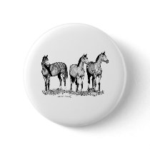 Arabian Horses Pinback Buttons