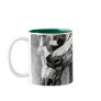 Arabian Horses Coffee Mug