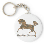 Arabian Horses