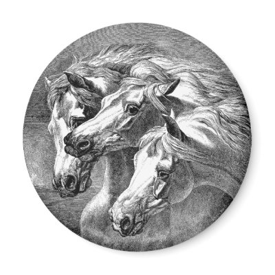 Arabian Horses Magnet by aesthete