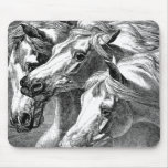 Arabian Horses Mouse Pad mousepads