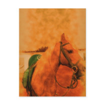 Arabian mare profile postcards