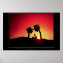 Arabian Nights - Oasis posters
