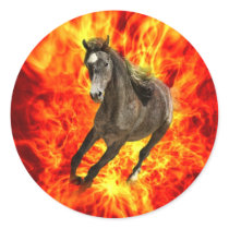 Arabian on fire