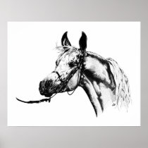 Arabian portrait in Pen & Ink Print