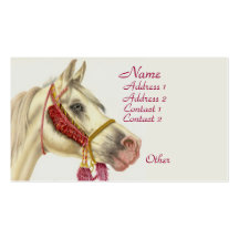 Arabian Stallion Business Card