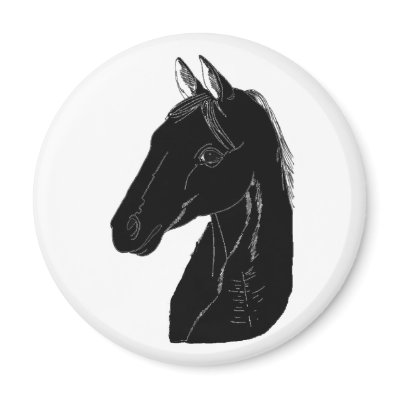Arabian Stallion Refrigerator Magnets by fstasu58