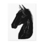 Arabian Stallion Postcards
