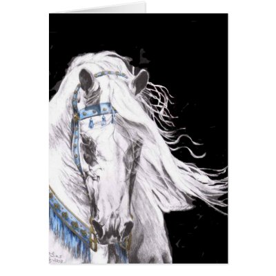 "Arabian White" by SusanMSims