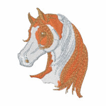 Arabian with Paint