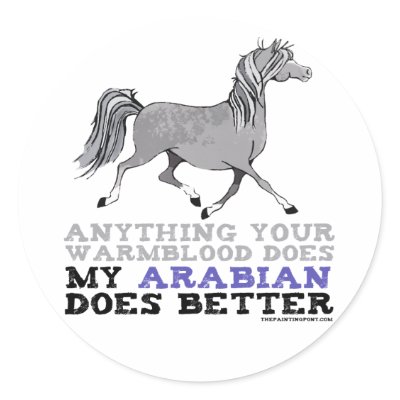Arabians Do It Better by PaintingPony