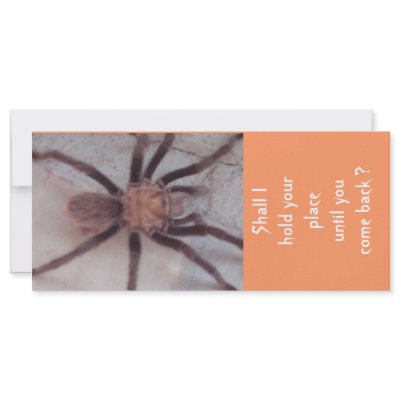 Arachnid Association Bookmark Rack Card by ameesdreamtwo