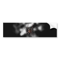 Arachnid Bumper Sticker
