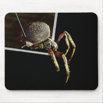 Arachnophobia Mouse Pad