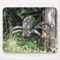Arachnophobia