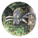 Arachnophobia stickers