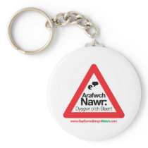 ARAFWCH keychains