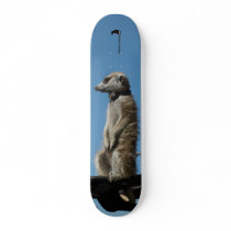 Aragorn Rides - Skateboard