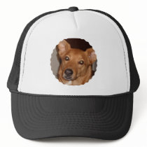 Arag's 'Buddy line' Mesh Hats