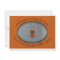 Araneus Orb Weaver Spider Halloween Invitation