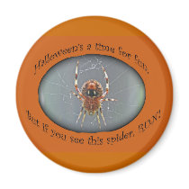 Araneus Orb Weaver Spider Halloween Magnet