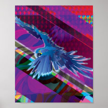 Arara Azul Poster
