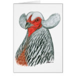 Araucana Hen