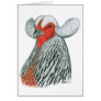 Araucana Hen